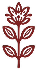 PEQUEÑAS SERIES